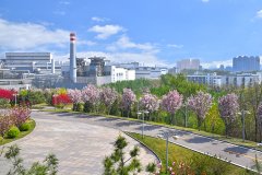 河鋼集團(tuán)唐鋼公司低壓控制柜、PLC控制柜、中控室系統(tǒng)